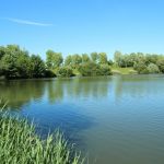 Journées du Patrimoine 2023 à Guyancourt (78)