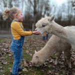 Malowe Nature, ferme en permaculture et étangs de pêche : nouveautés 2024