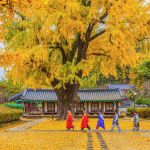 Korea House à Paris : Immersion Coréenne pendant les Jeux Olympiques 2024