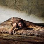 L'Homme qui rétrécit – Jean Dujardin face à l'inconnu dans une adaptation du roman culte