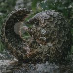 Pangolin : un bébé sauvé du trafic au cœur d’un documentaire Netflix