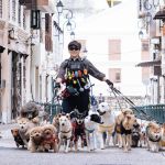 The Shadow’s Edge : Jackie Chan dans un thriller d’action