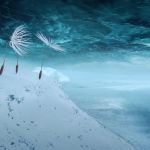 Planètes : le film d’animation de Momoko Seto arrive en mars 2026