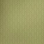 Backrooms : le film d’horreur A24 au cinéma