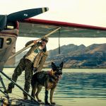 Heart of the Beast : Brad Pitt seul en Alaska avec son chien