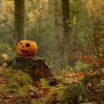 Halloween 2026 au château d’Auvers : contes en forêt et cinéma en famille