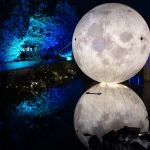 Parc de l'Étrange 2026 : Halloween fait son cinéma au Parc André Citroën