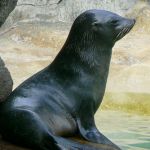 Les vacances de février 2019 au Parc Zoologique de Paris Vincennes