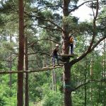 Atout Branches le parcours d'accrobranche à Milly la Forêt