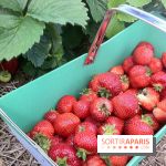 Les cueillettes de fruits, légumes et fleurs autour de Paris