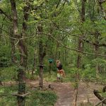 Le Parcours Lémuriens à Champagne sur Seine