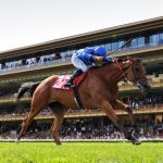 Qatar Arc Trials à l'Hippodrome Paris Longchamp 