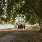 Coronavirus : peut-on encore se promener en forêt ?