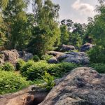 Déconfinement : les randonnées campagnes et forêts à découvrir autour de Paris 