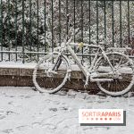 La Neige à Paris - IMG 2840