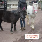 Les Dimanches au Galop 2018