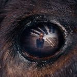 Animale d'Emma Benestan, film de clôture de la Semaine de la Critique 2024