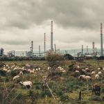 Toxicily de François-Xavier Destors : Notre avis et la bande-annonce du documentaire