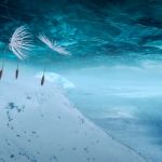 Planètes de Momoko Seto, film de clôture de la Semaine de la Critique 2025