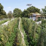 Ferme Suzanne