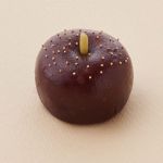 Les wagashi, ces pâtisseries japonaises traditionnelles à déguster chez Toraya 