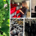 Les Vignerons Parisiens, véritable chai de vinification et initiation à l’œnologie en plein Paris