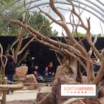 Zoo de Thoiry 2018 : les photos