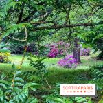 L'Arboretum de Versailles - Chevreloup