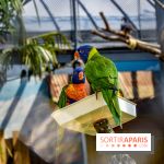 Le Jardin d'Acclimatation dévoile son nouveau visage et ses attractions, les photos