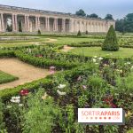 Jean Cotelle, l'exposition au Grand Trianon de Versailles