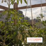 Sous les Fraises & So Ouest inaugurent la première ferme maraichère urbaine à Levallois-Perret : les photos