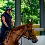 Équitation : où pratiquer les sports équestres à Paris et en Île-de-France