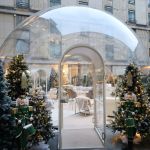 Noël 2025 à Paris : La Bulle du Collectionneur, l'expérience gourmet pour un apéritif d'exception