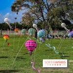 Festival de l'Air 2025 à Montesson (78) : montgolfière, cerfs-volants et concert gratuit en octobre