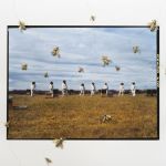 Guerlain x UNESCO, "Piquées" une exposition photo engagée et inspirante