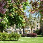 Festival "Jardins du monde en mouvement" à la Cité Universitaire