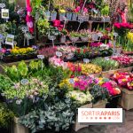 Visuel Paris marché d'Aligre fleurs