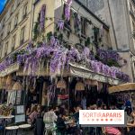 Visuel Paris terrasse