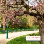 Copaci din Paris vizibili în flori, grădini și parcuri