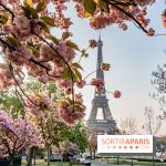Visuel Paris Tour Eiffel cerisiers en fleurs