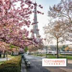 Visuel Paris Tour Eiffel cerisiers en fleurs