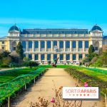 Mille et une Orchidées 2019 au Jardin des Plantes, les photos