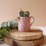 The Blond Cactus, quand le cactus passe en mode vintage