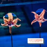 Océan, l'exposition à la Grande Galerie de l'Evolution