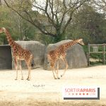 Parc Zoologique de Paris 2019