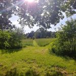 Rendez-vous aux Jardins de Garneliance en juin 2023