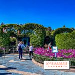 Visuels Disneyland Paris - Alice's Curious Labyrinth