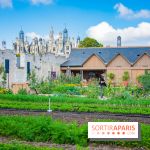 Le Château de Chambord fête ses 500 ans : le programme des festivités