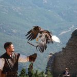 aigle spectacle