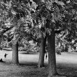 Sebastiao Salgado à l'honneur dans une exposition de photos gratuite à l'Hôtel de Ville de Paris